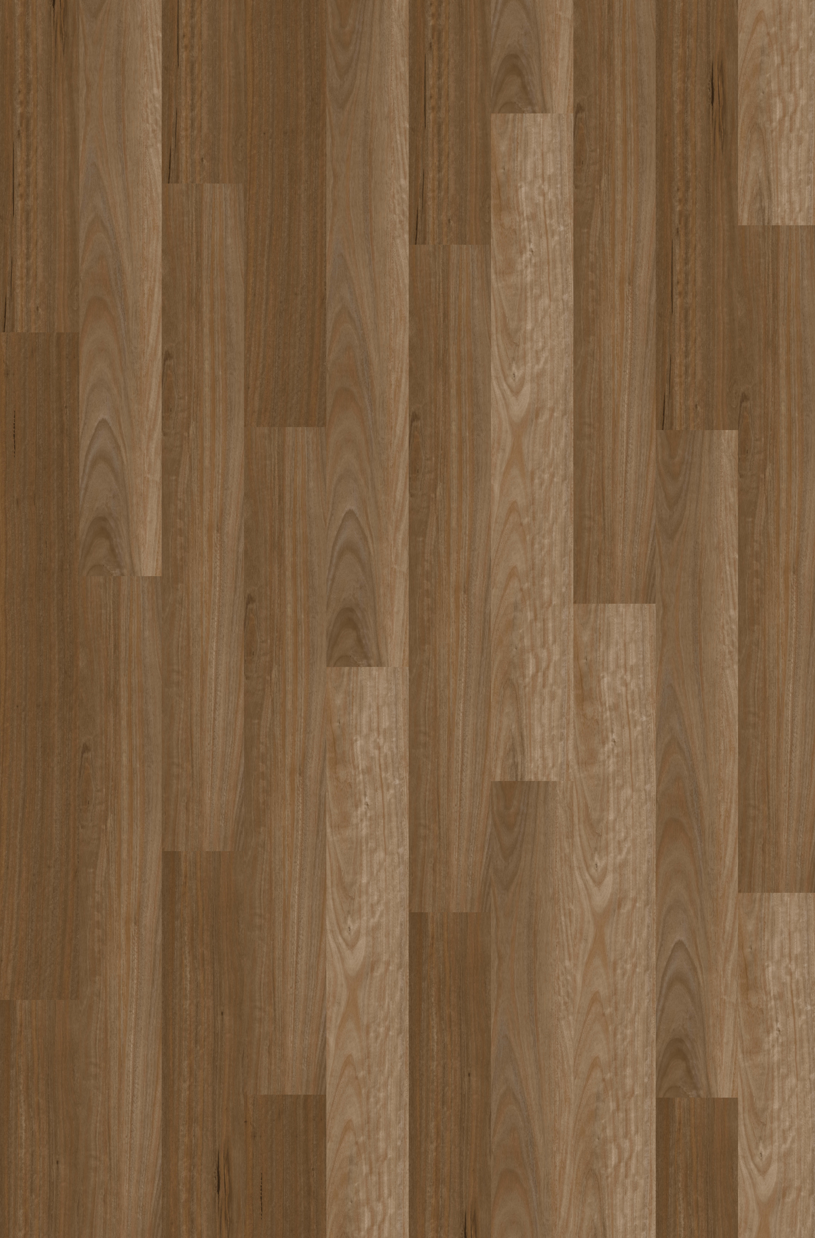 Sunrise Blackbutt colourway