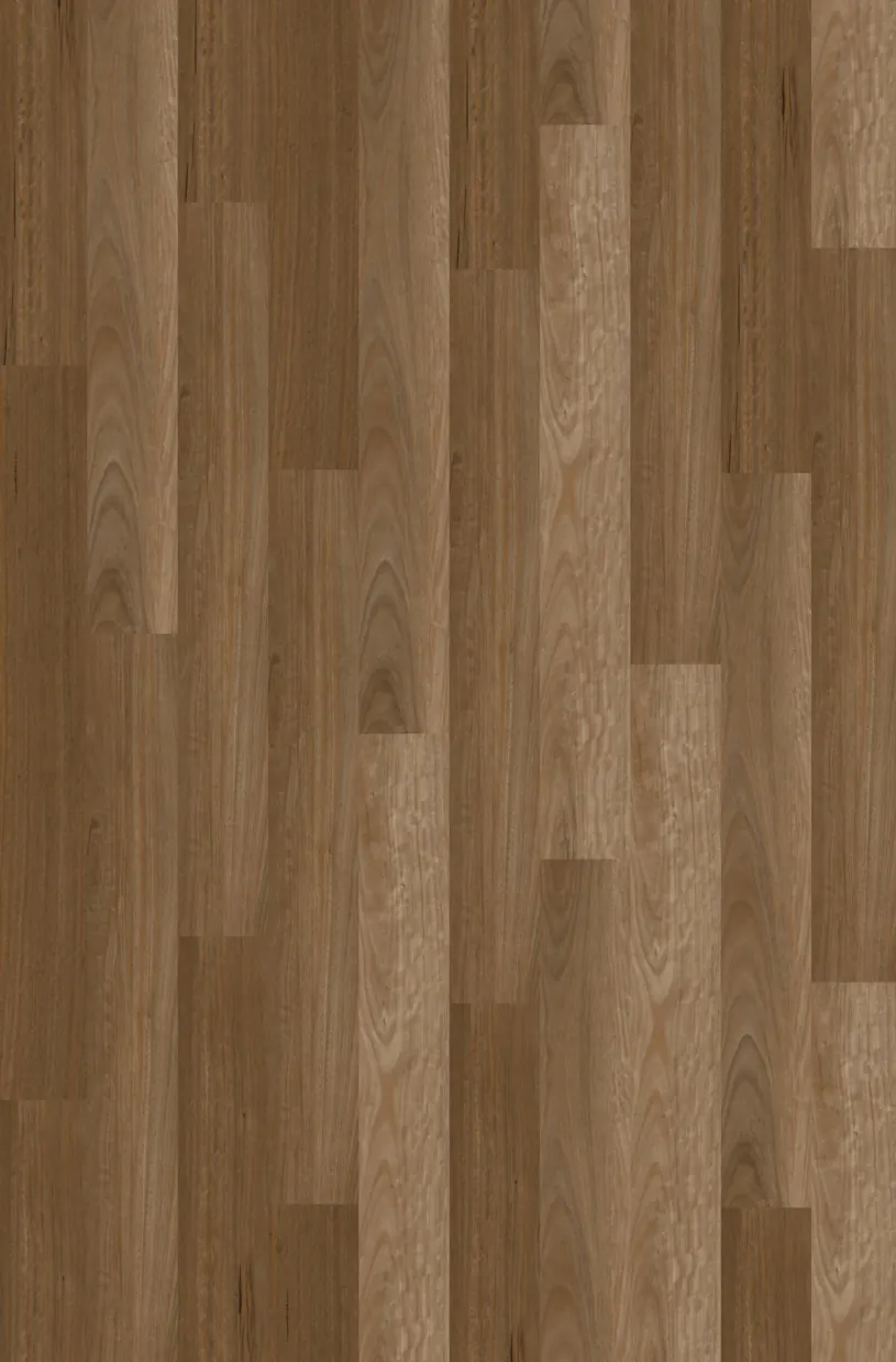 Sunrise Blackbutt colourway