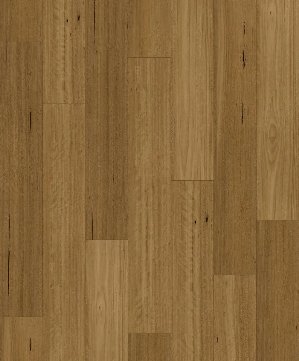 Grand Blackbutt colourway