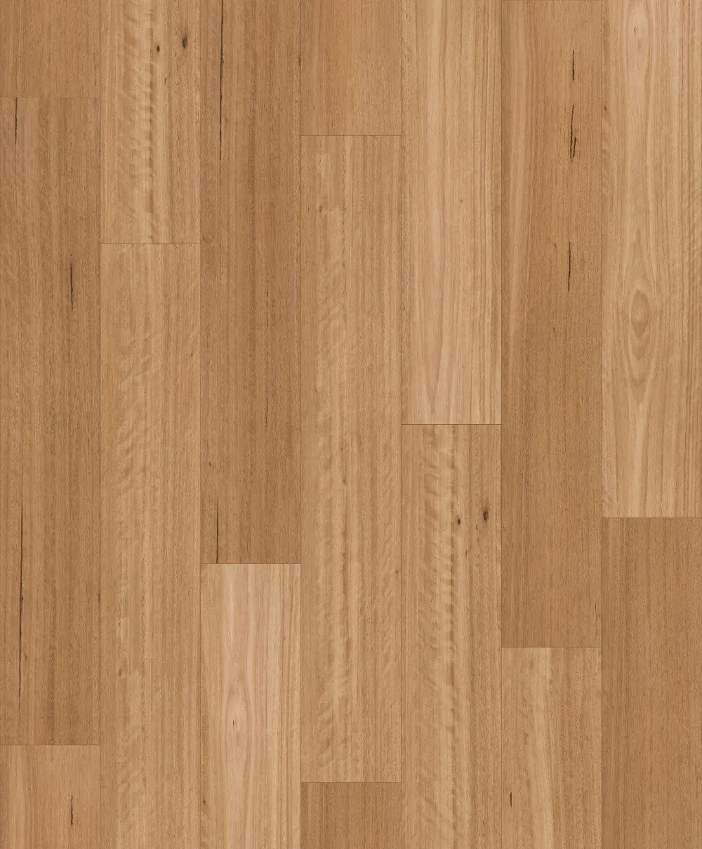 Silky Blackbutt colourway