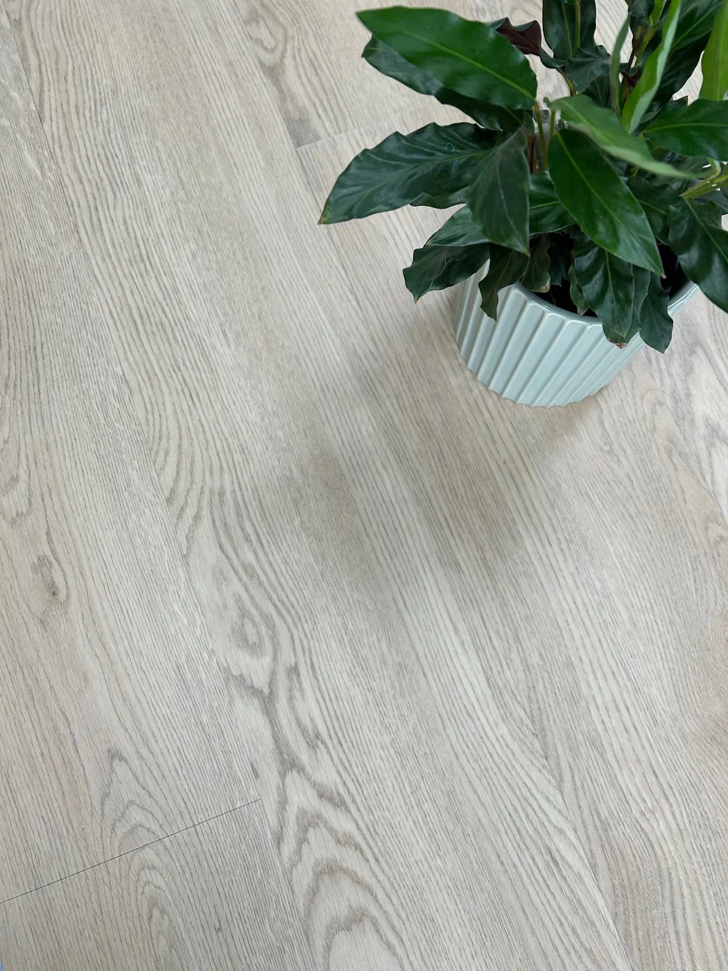 Century Oak colourway
